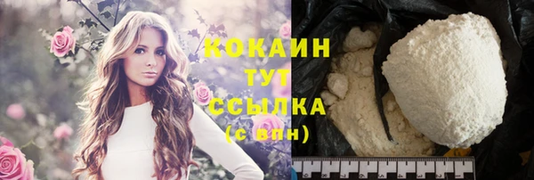 кокс Няндома