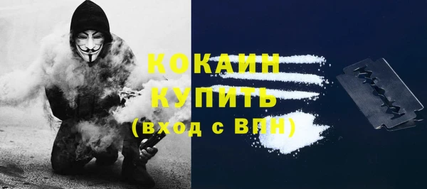 кокс Няндома