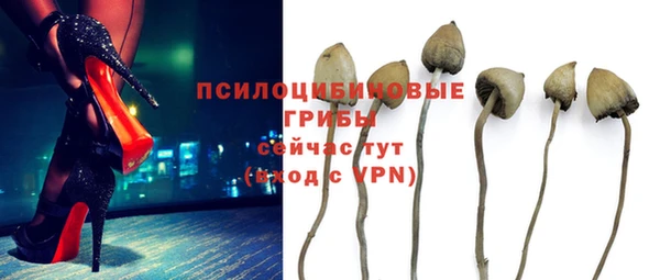 кокс Няндома