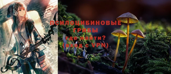 гашик Новокубанск