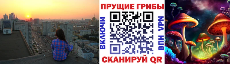 Псилоцибиновые грибы ЛСД  магазин продажи наркотиков  мориарти наркотические препараты  Починок 
